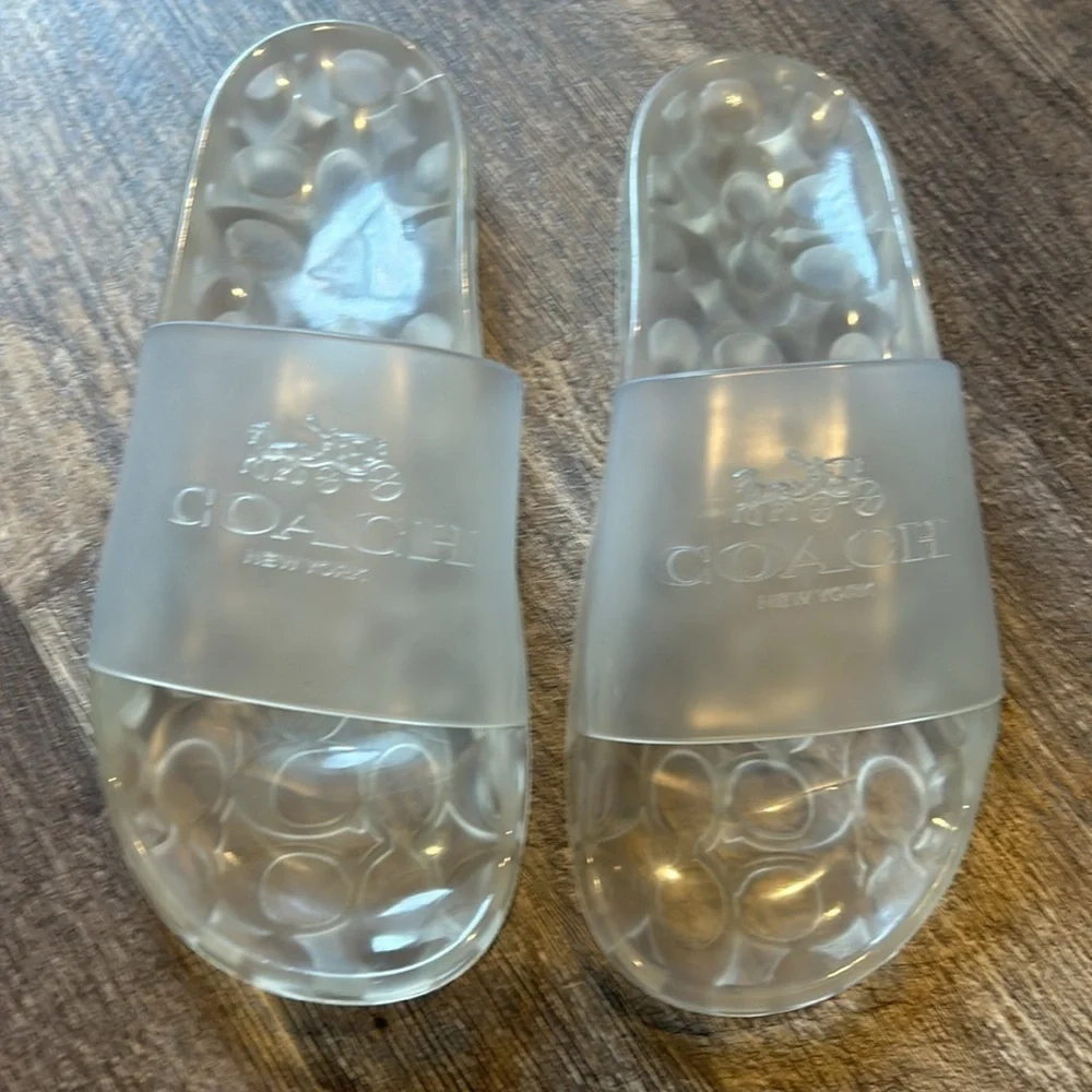 Coach size clear slides